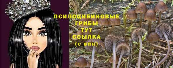 тгк Алексеевка
