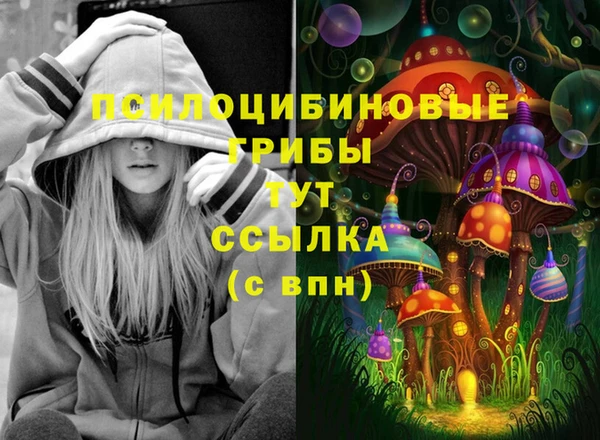 тгк Алексеевка